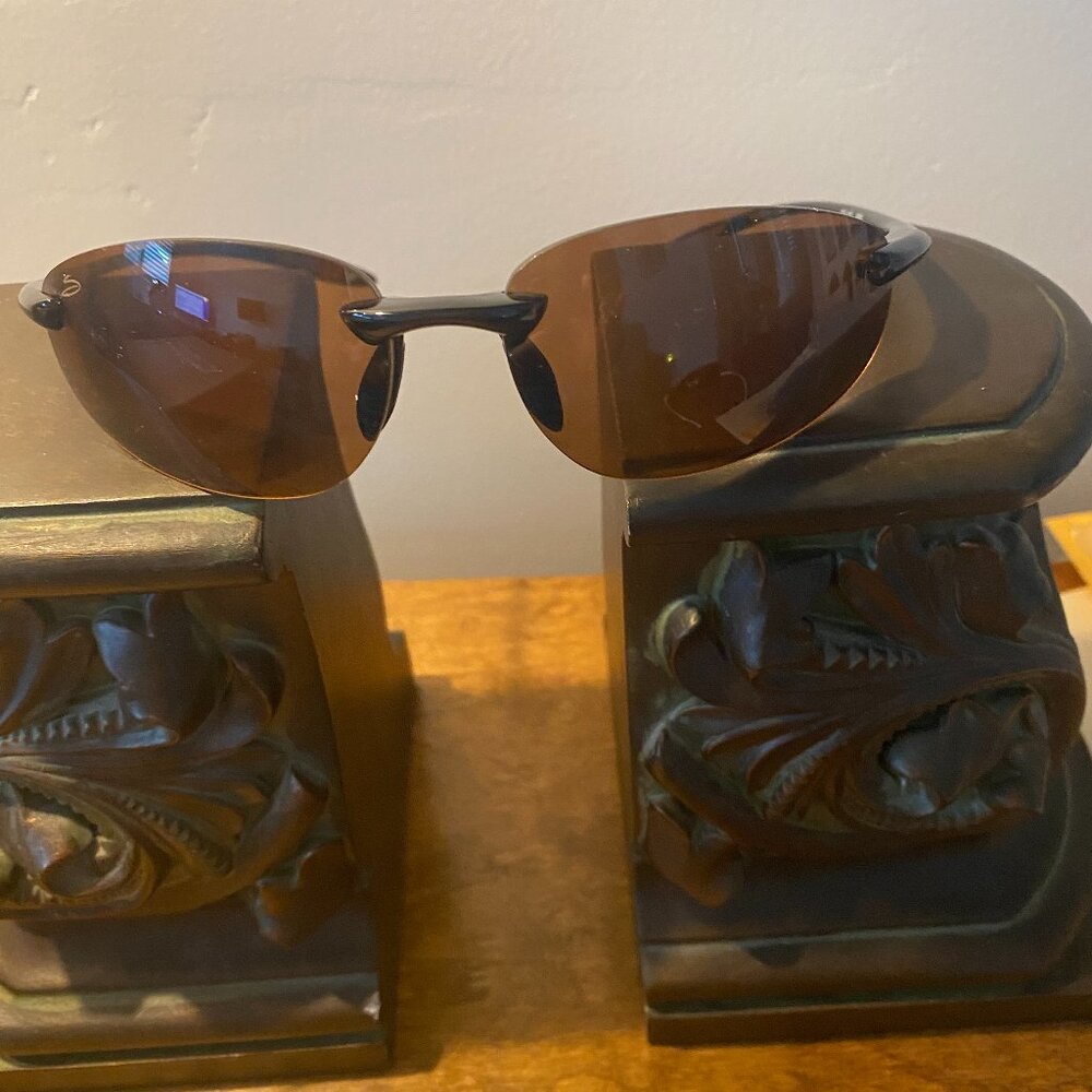 Serengetti Polarmax Celcio Sunglasses